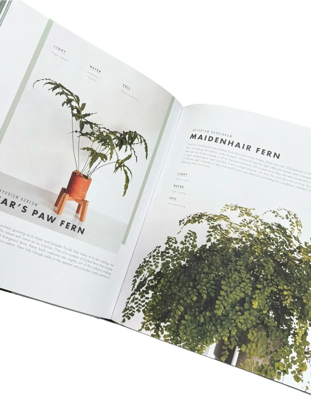Leaf Supply: A Guide to Keeping Happy Houseplants Book (Camille’s/Kaplan)